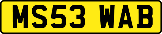 MS53WAB