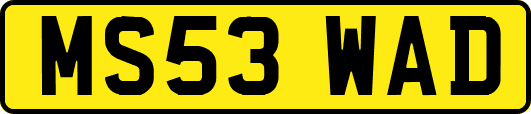 MS53WAD