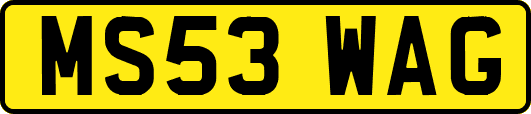 MS53WAG