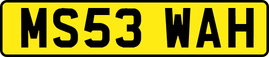 MS53WAH