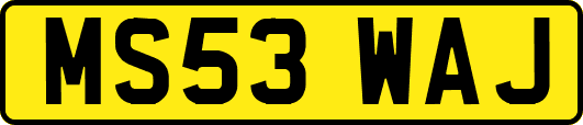 MS53WAJ