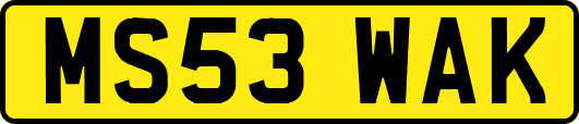 MS53WAK