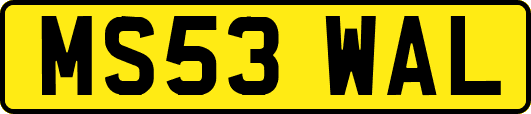 MS53WAL