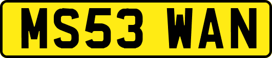 MS53WAN