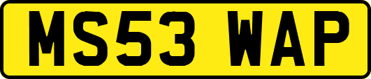 MS53WAP