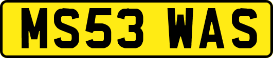 MS53WAS