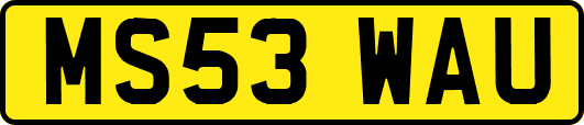 MS53WAU