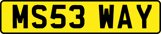 MS53WAY