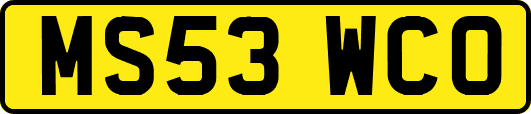 MS53WCO