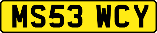 MS53WCY