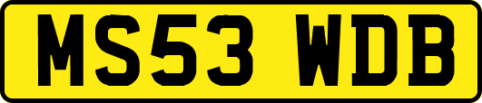 MS53WDB
