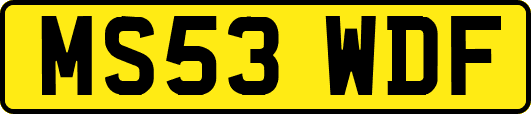 MS53WDF