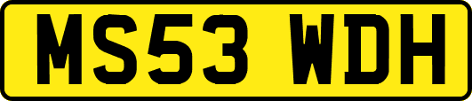 MS53WDH