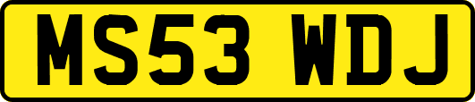 MS53WDJ