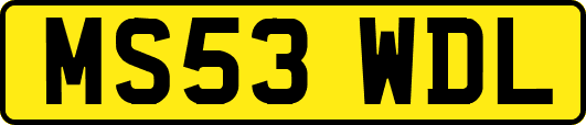 MS53WDL