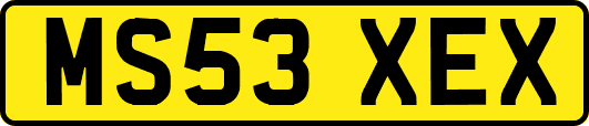 MS53XEX