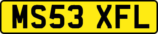 MS53XFL