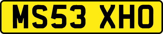 MS53XHO