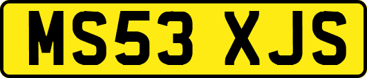 MS53XJS