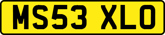 MS53XLO