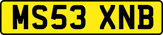 MS53XNB