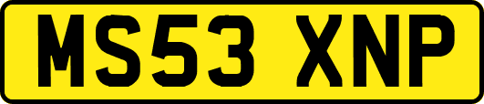 MS53XNP