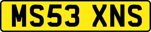 MS53XNS