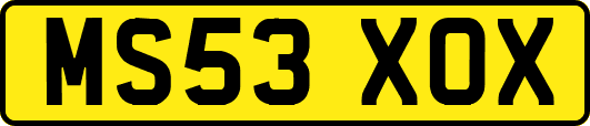 MS53XOX