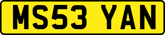 MS53YAN