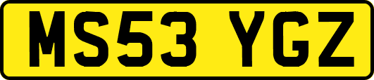 MS53YGZ
