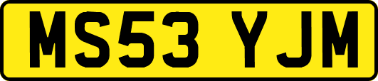 MS53YJM