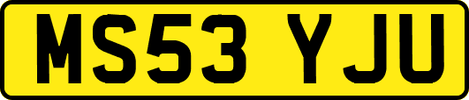 MS53YJU