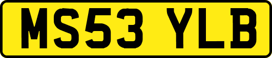 MS53YLB