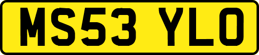 MS53YLO