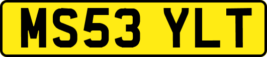 MS53YLT
