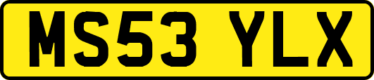 MS53YLX