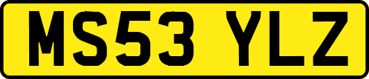 MS53YLZ