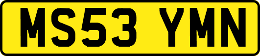 MS53YMN