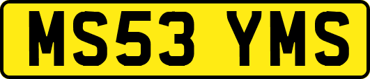 MS53YMS