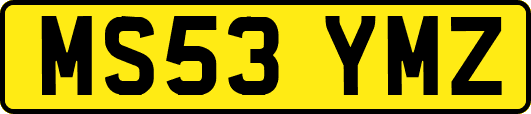 MS53YMZ
