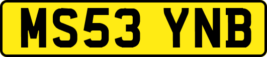 MS53YNB