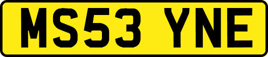 MS53YNE