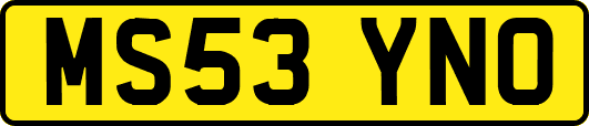 MS53YNO