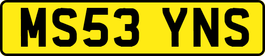 MS53YNS