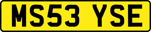 MS53YSE