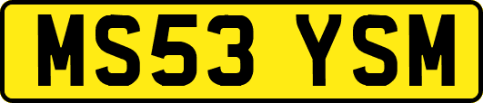 MS53YSM