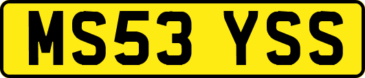 MS53YSS