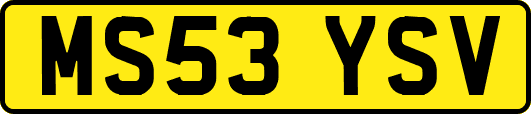 MS53YSV