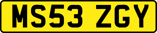 MS53ZGY