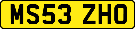 MS53ZHO